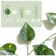 Yatim 78-Ft 12 Pack Silk Artificial Ivy Vines Leaf Garland Plants Hanging Wedding Garland Fake Foliage Flowers Home Kitchen Garden Office Wedding Wall Decor Yatim 78-Ft 12 Pack Silk Artificial Ivy Vines Leaf Garland Plants Hanging Wedding Garland Fake Foliage Flowers Home Kitchen Garden Office Wedding Wall Decor