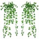 Yatim 90 cm Sweetpotato Ivy Vine Artificial Plants Greeny Chain Wall Hanging Leaves for Home Room Garden Wedding Garland Outside Decoration Pack of 2 Yatim 90 cm Sweetpotato Ivy Vine Artificial Plants Greeny Chain Wall Hanging Leaves for Home Room Garden Wedding Garland Outside Decoration Pack of 2